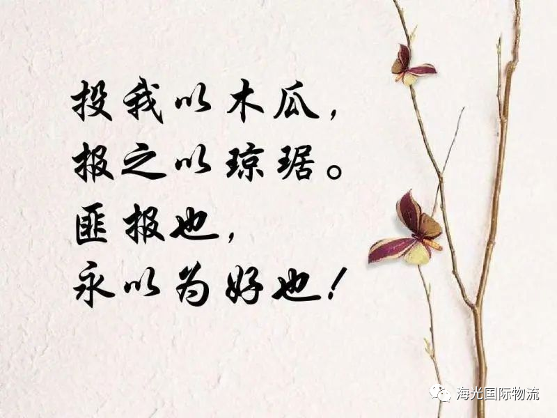 寅虎拜年，喜樂新春！